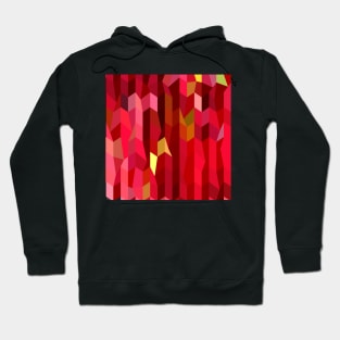 Cardinal Red Abstract Low Polygon Background Hoodie